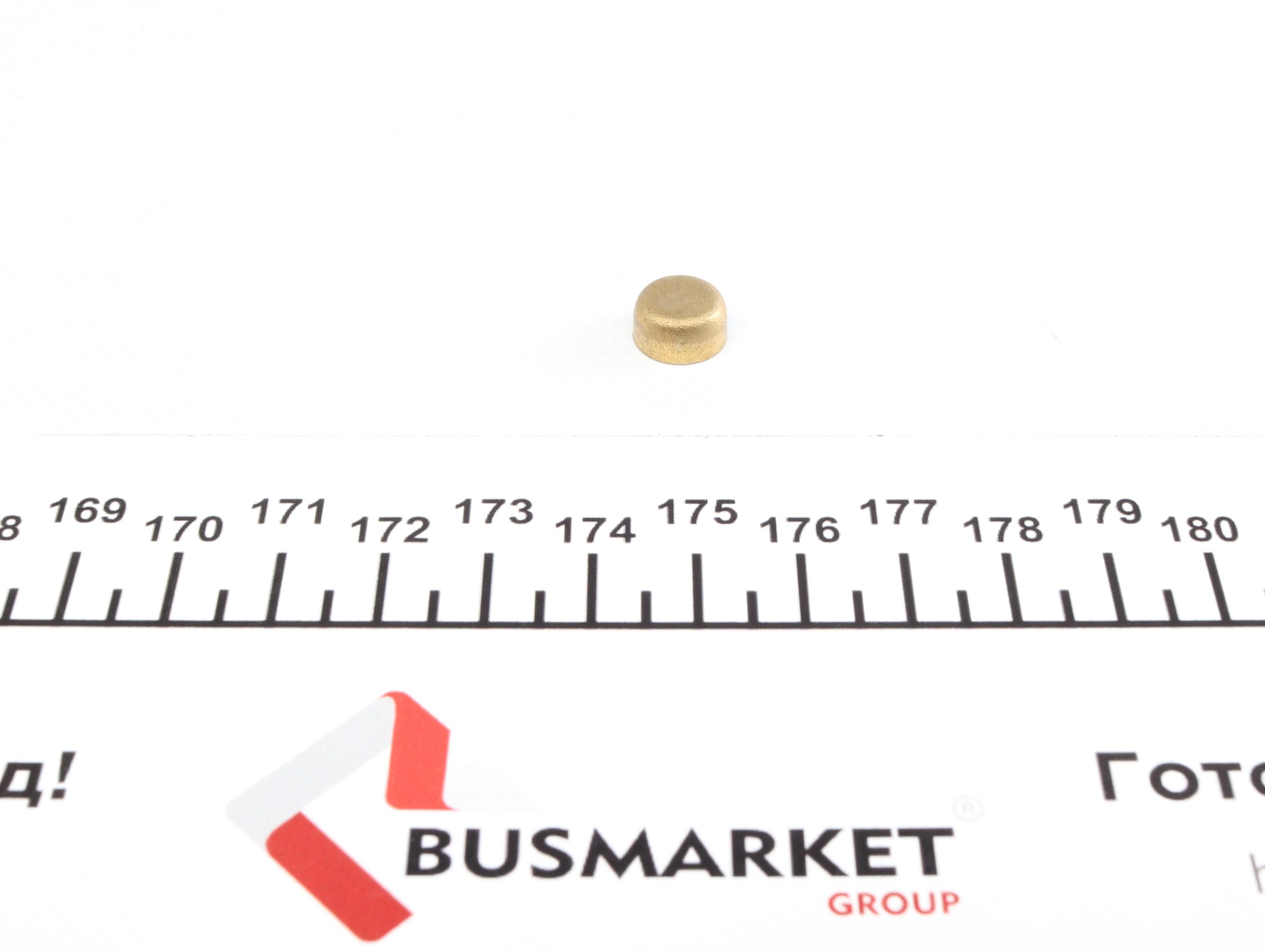 Заглушка блоку циліндрів (d=10mm) Латунь/Brass