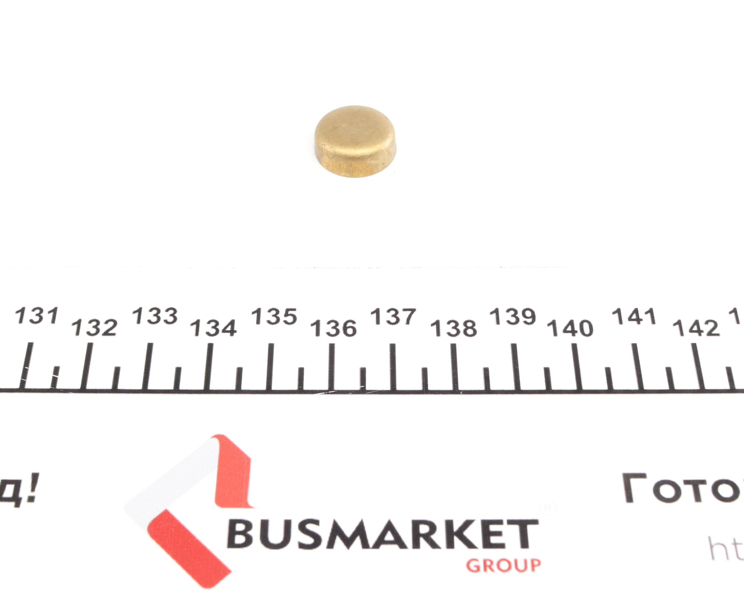 Заглушка блоку циліндрів (d=15mm) Латунь/Brass