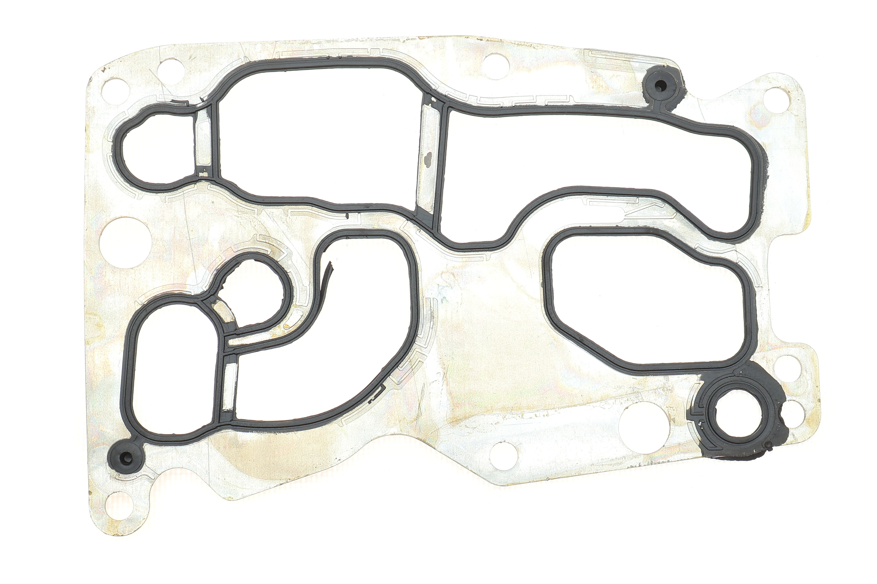 Прокладка радіатора масляного BMW 1 (F20/F21)/3 (E90/E91)/4 (F32/F82) 1.6D/2.0D/3.0D 06- N47