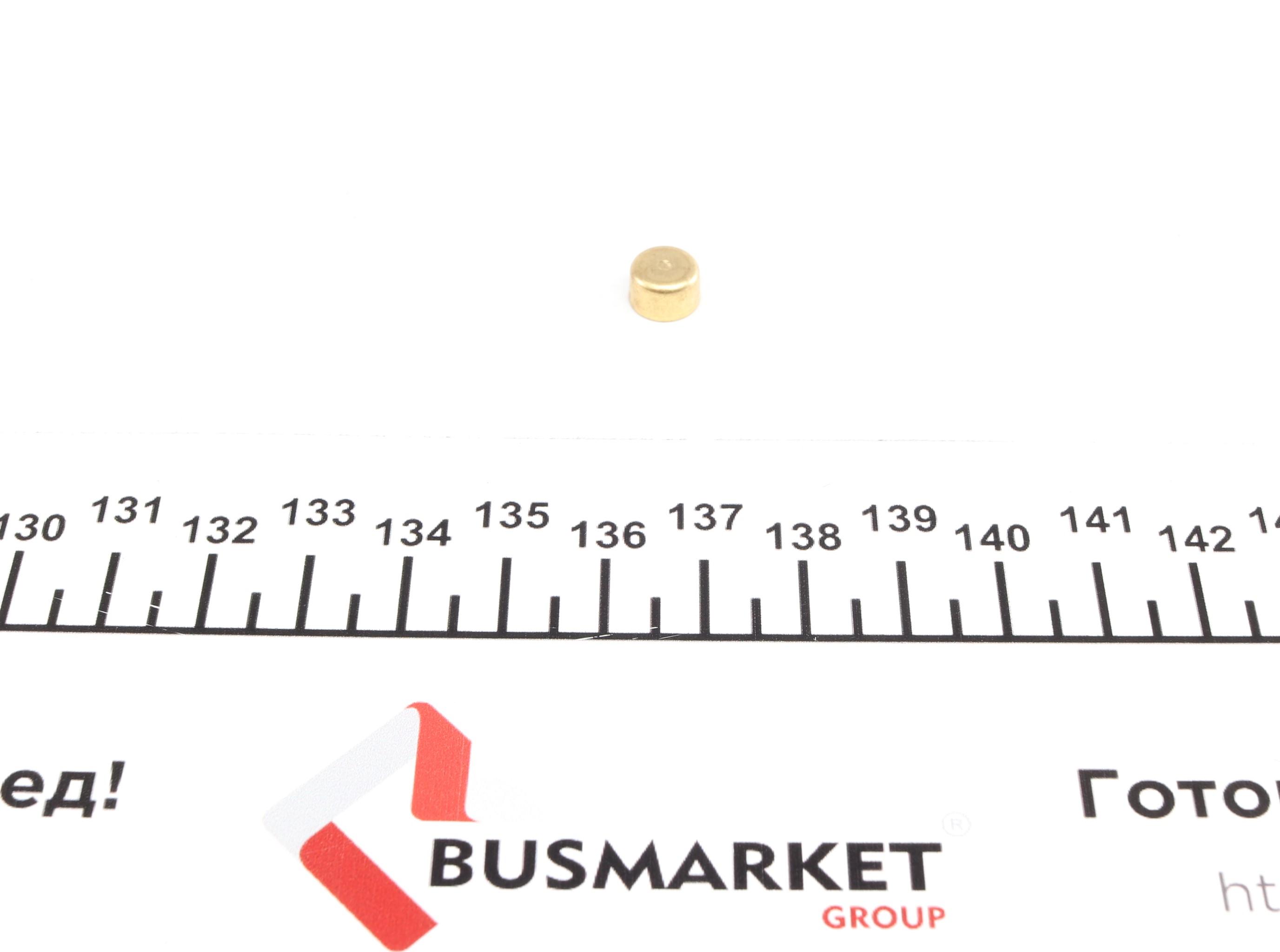 Заглушка блоку циліндрів (d=8mm) Латунь/Brass